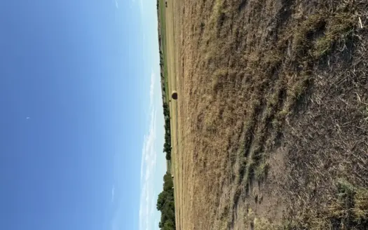 Hunting Land in Unit 16 Comanche County Kansas for sale
