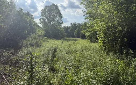 Vacant Lot – No Restrictions – Electric In Place – Liberty, KY.