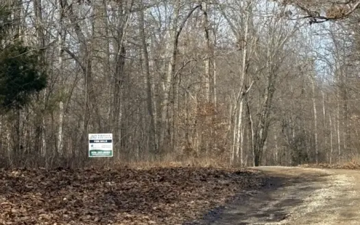 Hunting Paradise with Building Potential in Edmonton, Ky