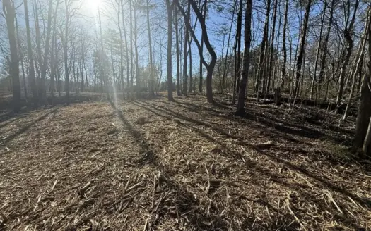 Building Lot Available at Spring Creek Airpark!
