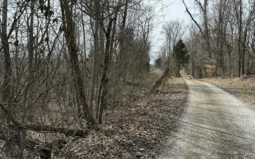Unrestricted Lot in Albany, Kentucky