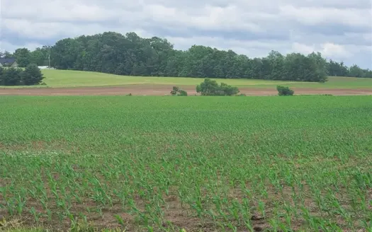 112.5 Acres for sale joining Franklin Ky city limits.
