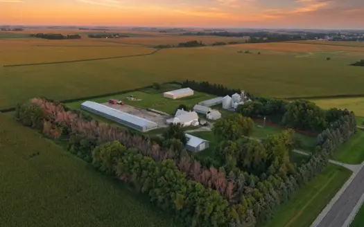 10.74 Ac Hayfield, MN 4 Bed 1.5 bath buildings & grain storage