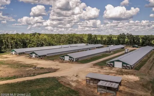 4-House Poultry Breeder Farm for Sale in Silver Creek, MS