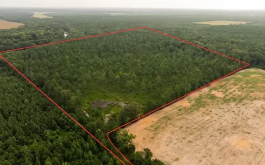 Affordable Morehouse Parish Land for Sale