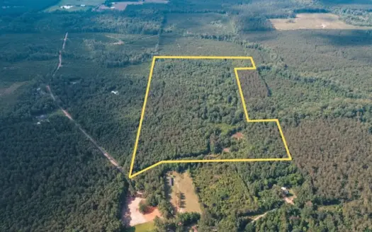 Weston 53 – Timber & Hunting Land in Louisiana
