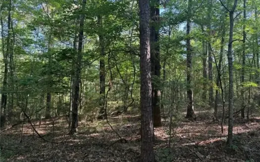 Hunting Property with Hwy and Creek Frontage