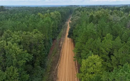 Recreation and Timber Investment Property Amite County Gloster MS