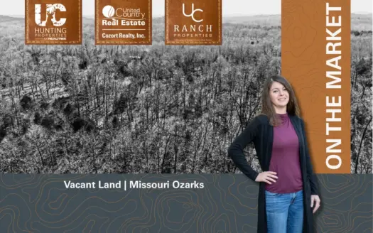Vacant Acreage for sale in the Missouri Ozarks | Gainesville
