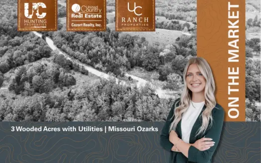 2+ Acres with Utilities | Ozark County