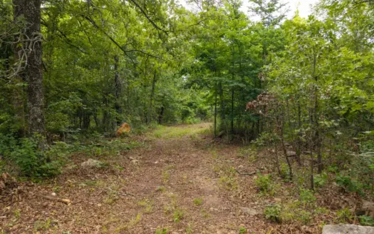 Missouri Ozarks Acreage Near Eleven Point River