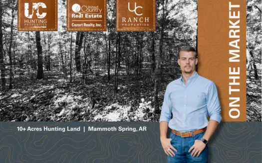 Hunting Land For Sale Near the Spring River | Mammoth Spring, AR