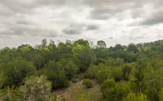 10 Acres of Hunting Land near Norfork Lake | Elizabeth, Arkansas