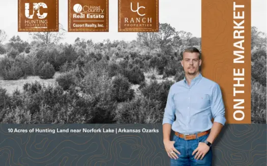 Hunting Property Near Norfork Lake | Elizabeth, Arkansas