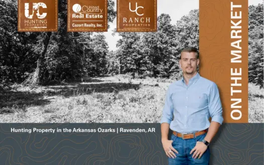 Prime Hunting Property in the Ozarks | Ravenden, Arkansas