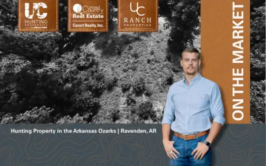 Prime Hunting Property in the Ozarks | Ravenden, Arkansas