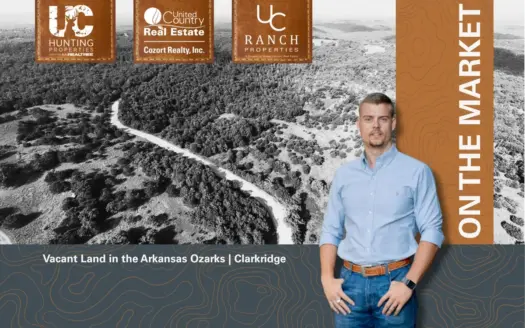 12 Acres For Sale in the Ozarks | Clarkridge, Arkansas