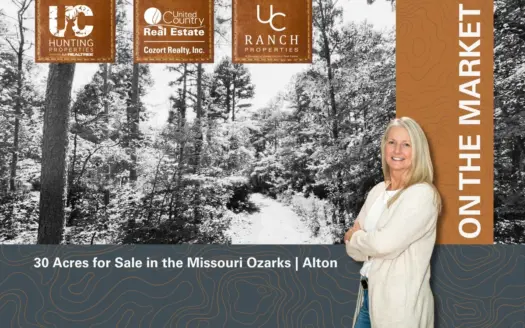 30 Acres for Sale in Alton | The Missouri Ozarks