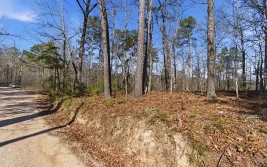 60 Acres Ozarks Land | Timber, Hunting, No Restrictions