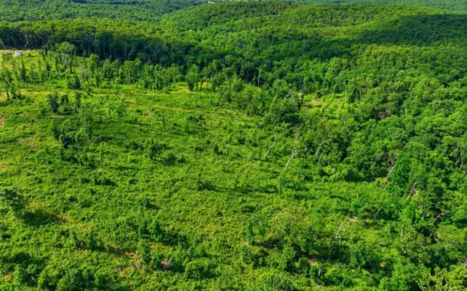 7.24 Acres Near Mountain View in Southern Missouri Ozarks