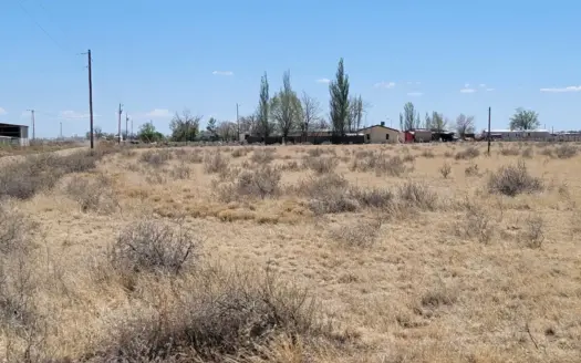 4.5 Acres of Unrestricted Land Near Highway in McIntosh NM