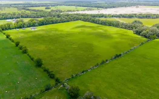 31.4 Acres of Vacant Land In Newberry, FL