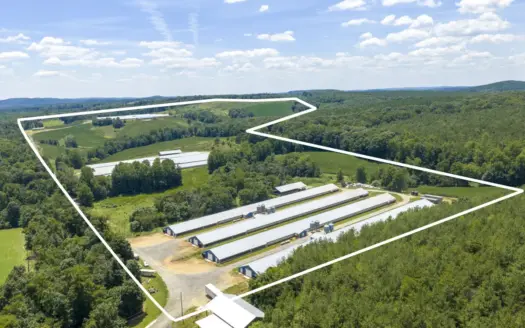 Premier 12-House Poultry Farm with Strong Income Potential