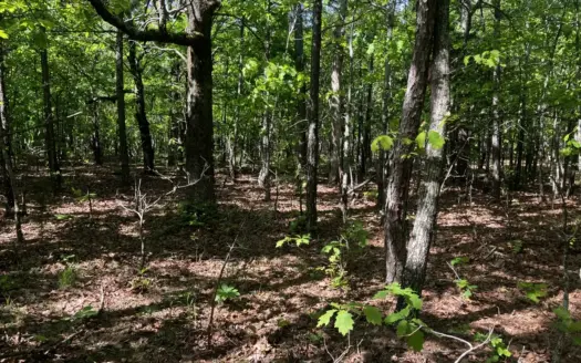Forty Acres Of Mountain Land For Sale in Wister, OK