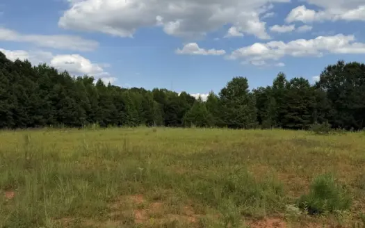 Commercial and Residential Land For Sale Near BMW In Upstate SC