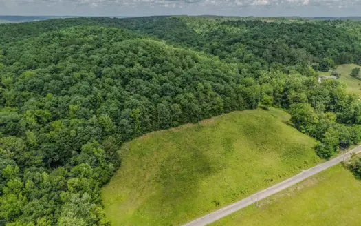 65.92 Ac of Prime Hunting & Recreational Land – Wayne County, Tn!