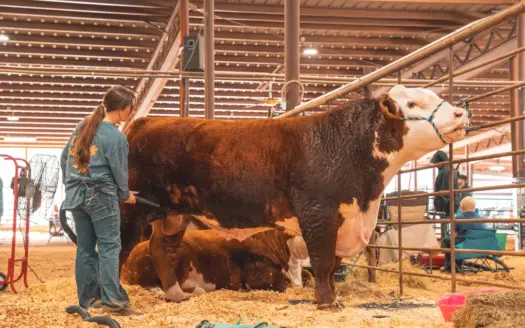 Premier Livestock, Agricultural & Multi-Purpose Event Facility