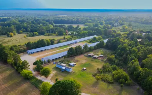 Well-Maintained Breeder Farm on 20 Acres – Gilmer, TX