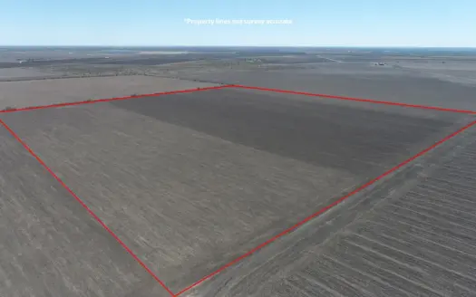 Productive Farm for Sale In Bee & Live Oak Counties, TX