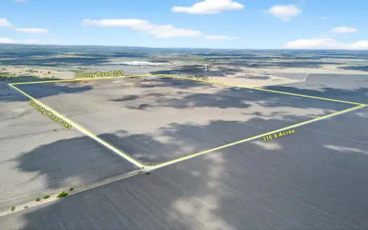 416± Acre Bee County Farm and  Prime Homesite TX