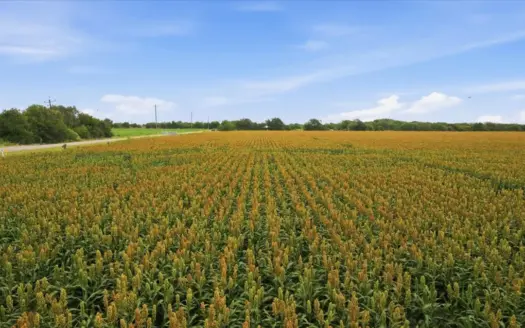 127.6 Acres of Farm & Future Development Land in Portland, TX