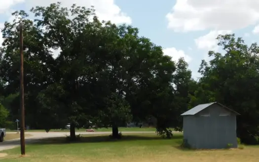 Two Lots for SALE in Rising Star TX with Two Water Wells