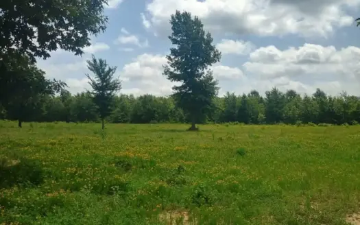 385.3 Acres Northeast Texas Land for Sale in Bowie County, Texas