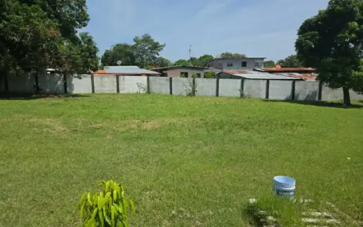 Titled Lot for Sale in San Carlos | Fully Fenced in San Carlos