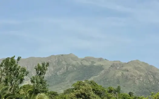 Titled Lot for Sale in El Mangote, Punta Chame | Main Road