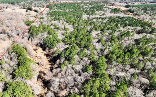 East Texas Hunting Property