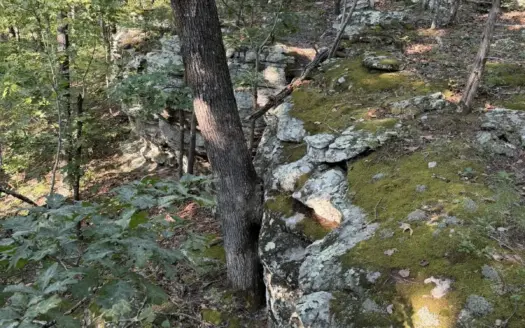 Hunting Land For Sale In North Central Arkansas