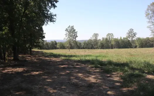 32 Acres For Sale in the Ozark Mountains with Hwy 65 Frontage