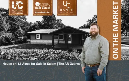 Home in Town on 1.5 Acres in Salem | The Arkansas Ozarks