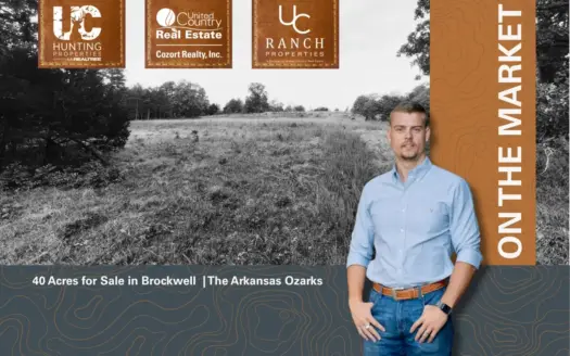 40 Acres for Sale in Brockwell | The Arkansas Ozarks