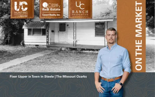 Home in Town in the Ozarks | Steele, Missouri