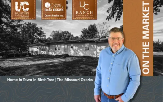 Home in Town in the Ozarks | Birch Tree, Missouri