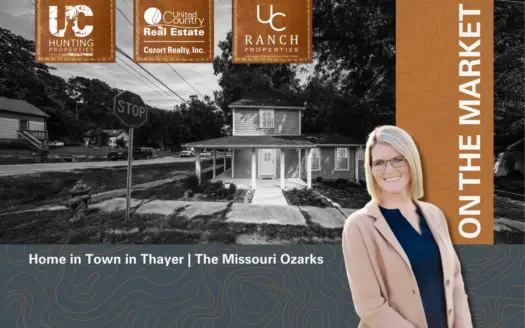 Home in Town in Thayer | The Missouri Ozarks