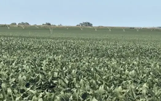 Irrigated Farm for Sale in Dawson County,  Nebraska