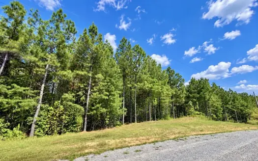 Private 7-Acre Wooded Tract Near the Buffalo River