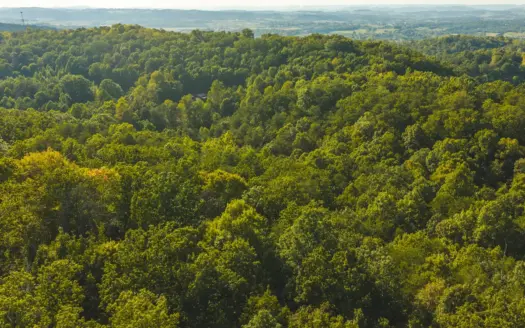 Woodland Greene County Tennessee Unrestricted Bulls Gap Comminity